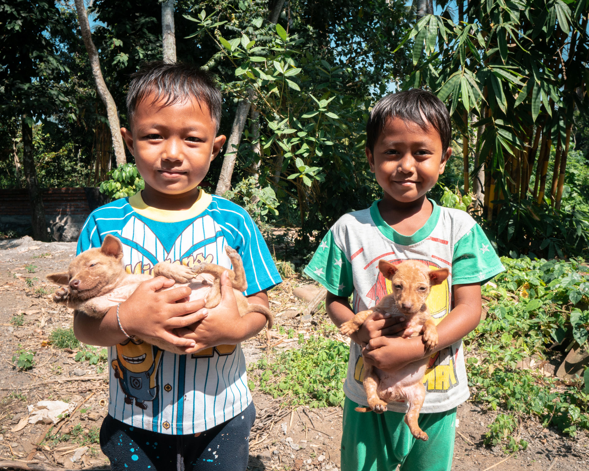 In Schools - Bali Animal Welfare Association (BAWA)